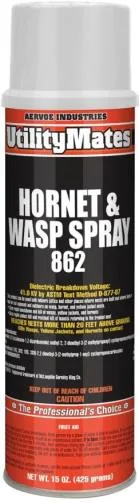 Hornet & Wasp Spray 20 OZ. Aerosol Spray Can